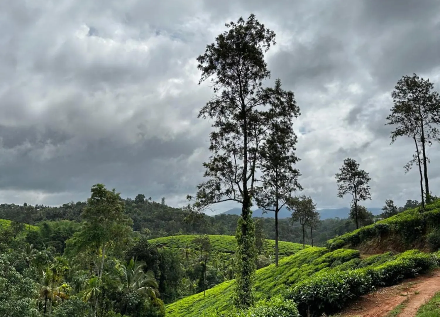 Karthika Homestay Vythiri